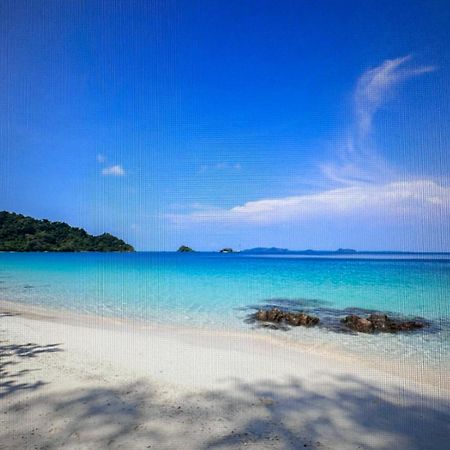 Appartement Dans Villa Roi Soleil อองทีบส์ ภายนอก รูปภาพ